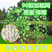 Heavy-Duty Plant Climbing Net for Cucumber, Passion Fruit, Gourd, and Grape Vines - Garden Trellis and Protection Net