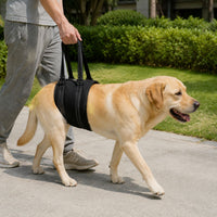 Pet Dog Rear Leg Support Harness for Injury Recovery & Mobility Assistance
