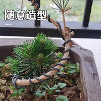 Bonsai Training Aluminum Wire for Plant Shaping and Crafting