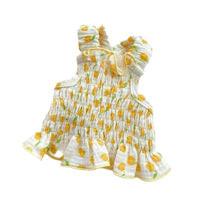 Pet Dog Cat Dress for Small Dogs Puppies Teddy Bichon Pomeranian
