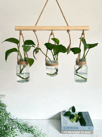 Nordic Ins Style Hemp Rope Conch Glass Hydroponic Vase Wall Decor