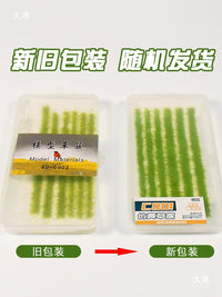 DIY Miniature Plant Model Grass Tufts for Sand Table and HO Train Scenery