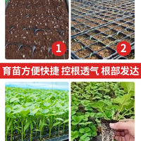 Seedling Starter Trays with Drainage Holes and Bottom Trays for Garden and Greenhouse