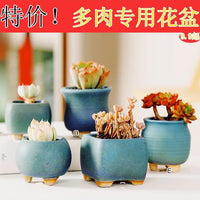 Ceramic Succulent Planter Pots with Breathable Design for Home and Garden