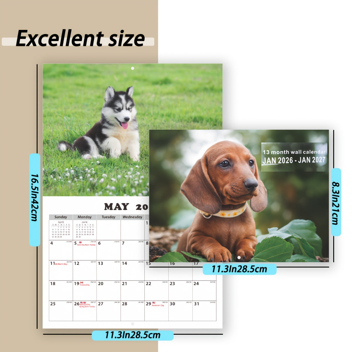 2025 Husky Puppy Wall Calendar A4 Size, 15 HD Pages