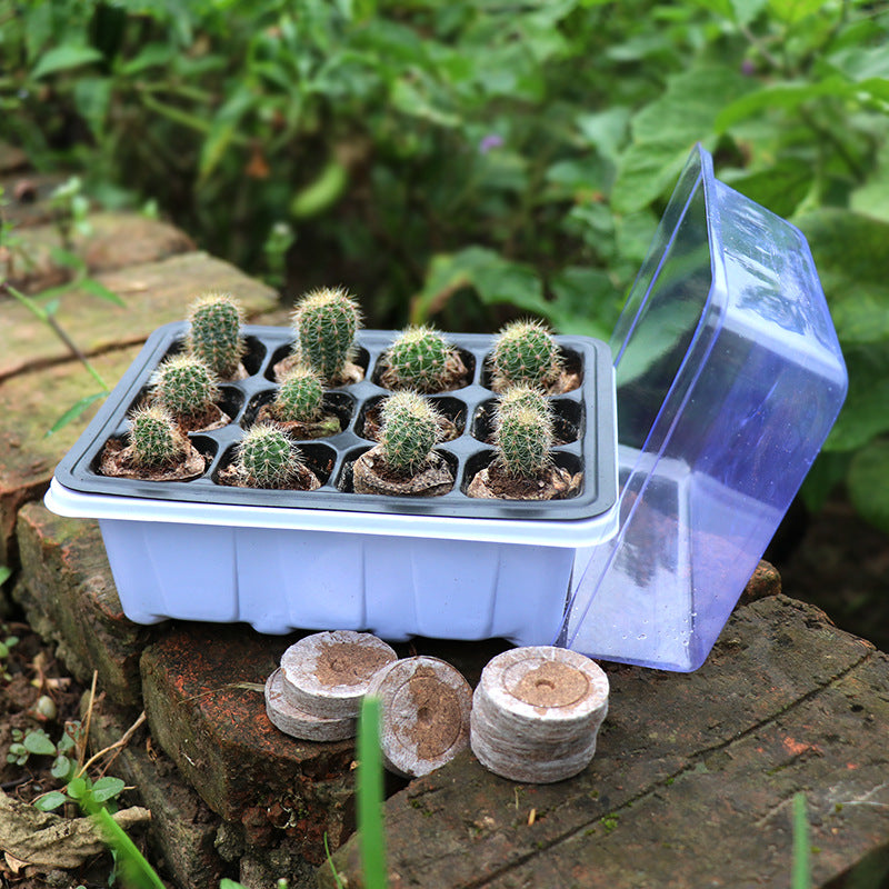 Succulent Seedling Starter Kit with Humidity Dome - 3-Piece Plant Propagation Tray Set