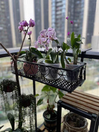 Balcony Railing Planter Rack Iron Art Hanging Flower Pot Holder for Windowsill Succulents