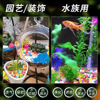 Natural Polished Pebbles for Planters, Aquariums, and Landscaping - Decorative Colorful Stones