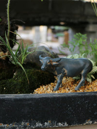 Miniature Resin Buffalo Figurine for Micro Landscape and Garden Decor