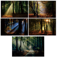3D Forest Sunlight Aquarium Background Sticker Self-Adhesive Fish Tank Decoration