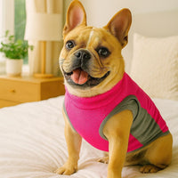 Pet Cooling Vest Breathable Summer Dog Apparel for Heat Relief