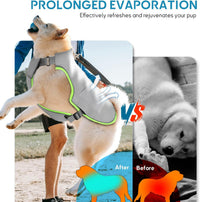 Cooling Dog Vest with Ice Packs for Summer Heat Relief, Adjustable Pet Cooling Jacket