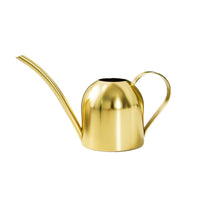 Stainless Steel Long Spout Watering Can for Indoor Plants, 500ml