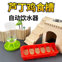 Automatic Quail Feeder and Waterer Set for Poultry
