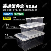 Amphibious Reptile Habitat with Lid for Frogs, Turtles, Crabs, and Salamanders