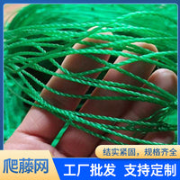 Plant Climbing Netting for Garden Trellis Support, Green Heavy-Duty Mesh for Fruits, Vegetables, and Flowers