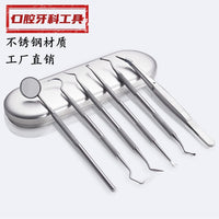 Stainless Steel Dental Hygiene Tool Kit for Oral Care