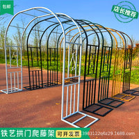 Garden Arch Trellis for Climbing Plants, Roses, and Vines - Outdoor Decorative Archway Support