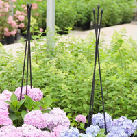 Adjustable Triangular Plant Support Trellis for Climbing Plants and Potted Flowers
