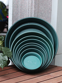 Round Clear Plastic Plant Pot Saucer Drip Tray for Root Control Pots