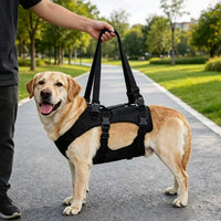 Dog Mobility Harness for Injured, Disabled, or Elderly Dogs - Front/Rear Leg Support for Walking & Stairs