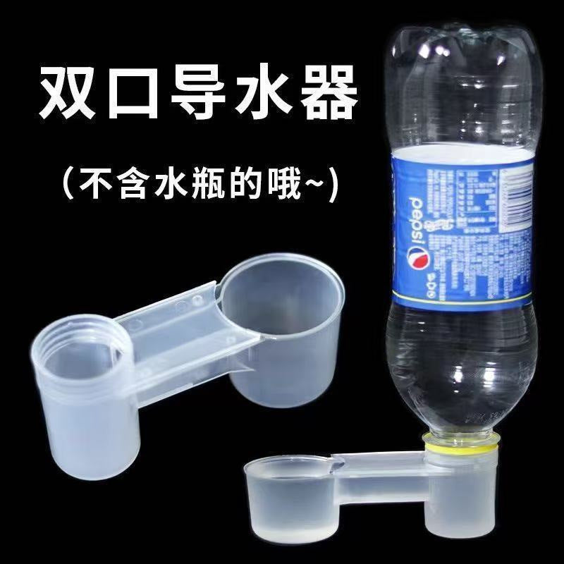 Automatic Bird Water Feeder for Parrots, Pigeons, and Other Small Birds, Double Spout Design