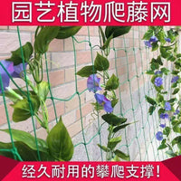 Heavy-Duty Plant Climbing Net for Fruits, Vegetables, and Flowers - Garden Trellis Netting for Courtyards and Farms