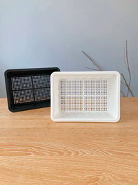 Mini Seedling Trays with Lids for Succulents and Lithops, Thickened Plastic Propagation Planter