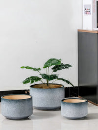 Nordic Style Ceramic Orchid Planter Pot with Drainage Tray for Indoor Plants