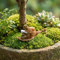 Cute Turtle and Rabbit Reading Figurine Planter for Succulents, Office Desk Decor