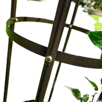 Foldable Iron Art Birdcage Trellis for Climbing Plants, Balcony & Garden Decor