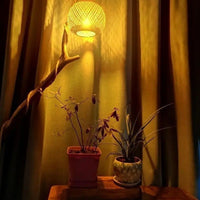 New Chinese Style Hand-Woven Bamboo Pendant Light for Teahouse and Study