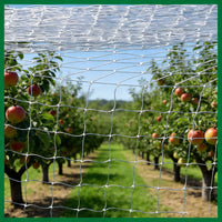 Garden Anti-Bird Netting for Fruit Trees and Plants, Transparent Nylon Mesh Protection