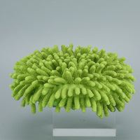 Electric Spin Scrubber Replacement Brush Head Set for Cleaning