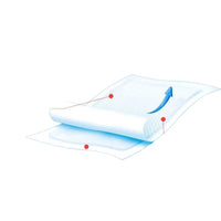 Disposable Pet Training Pads for Dogs, Large Thickened Absorbent Puppy Pee Pads