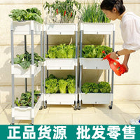 Self-Watering Multi-Layer Planter Box for Balcony Gardening