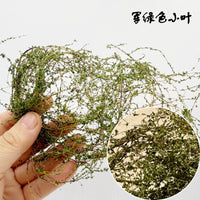Miniature Simulation Ivy Vine Model for Dioramas and Sand Tables