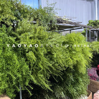 Artificial Green Plant Foliage for Event and Display Decor