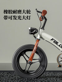 2-in-1 Kids Balance Bike & Bicycle for Ages 2-6, Toddler Training Bike with Pedals