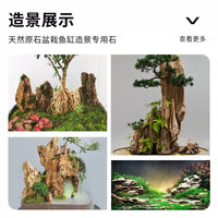 Natural Pine Bark Rock for Aquarium Landscaping and Micro-Landscape Decor