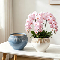 Creative Glazed Ceramic Planter with Saucer for Orchids and Green Plants