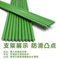 Garden Plant Support Stakes and Trellis Kit for Climbing Vegetables and Flowers
