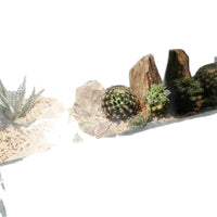 Natural Pine Bark Stone for Aquarium Landscaping, Terrarium, and Bonsai Decor