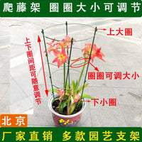 Trellis for Climbing Plants, Retractable Multi-tier Plant Support for Potted Flowers & Vines
