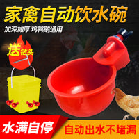 Automatic Poultry Waterer for Chickens, Ducks, Pigeons, Quails - Self-Filling Drinker Bowl