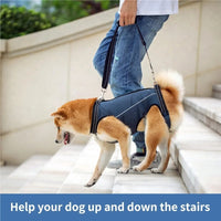 Dog Mobility Harness for Senior and Disabled Dogs - Support and Lift Aid