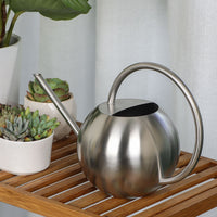 Stainless Steel Watering Can for Indoor Plants & Garden, 1000ML