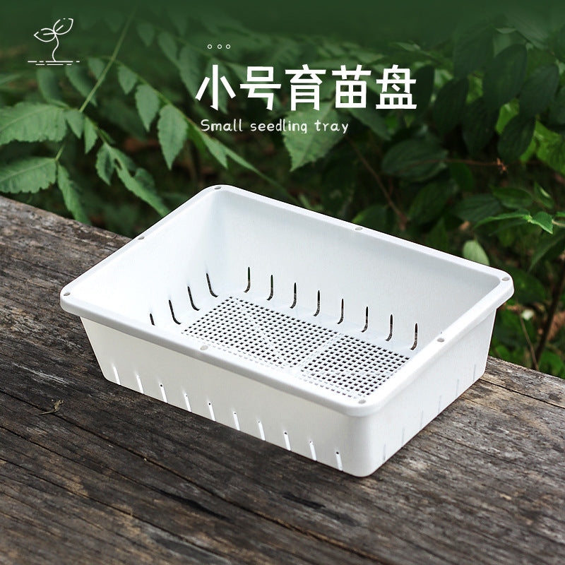 Small Plastic Seedling Tray for Succulents and Cuttings, Flower Propagation Planter