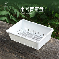 Small Plastic Seedling Tray for Succulents and Cuttings, Flower Propagation Planter