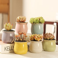 Ceramic Succulent Planter Pots with Breathable Design for Home and Garden